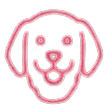 500+ Happy Dogs Trained