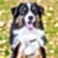 146797543_l-scaled-e1662573140890